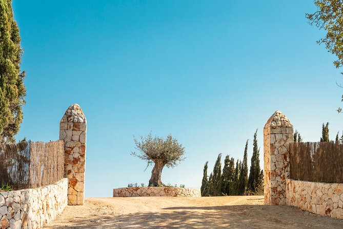 Guided Tour and Olive Oil Tasting in Mallorca - Additional Information