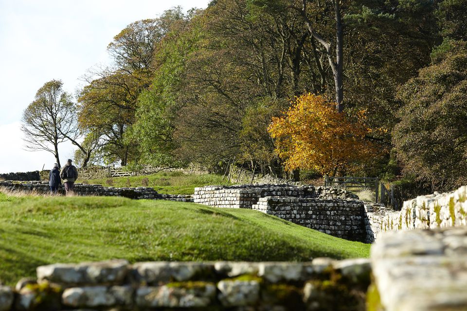 Hadrians Wall: Housesteads Roman Fort Entry Ticket - Onsite Museum and Artifact Displays