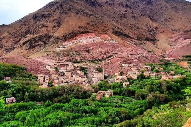 Half-Day Tour to Imlil Valley and High Atlas From Marrakech - Reviews and Ratings