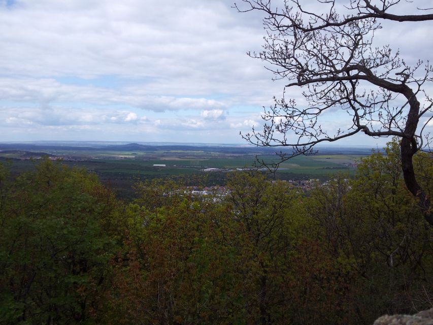 Harz Mountains Day Trip - Includes and Booking Details