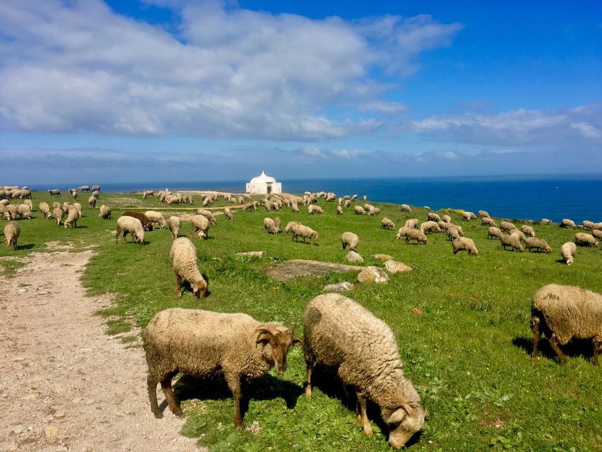 Hiking Tour Along the West Coastline - Duration