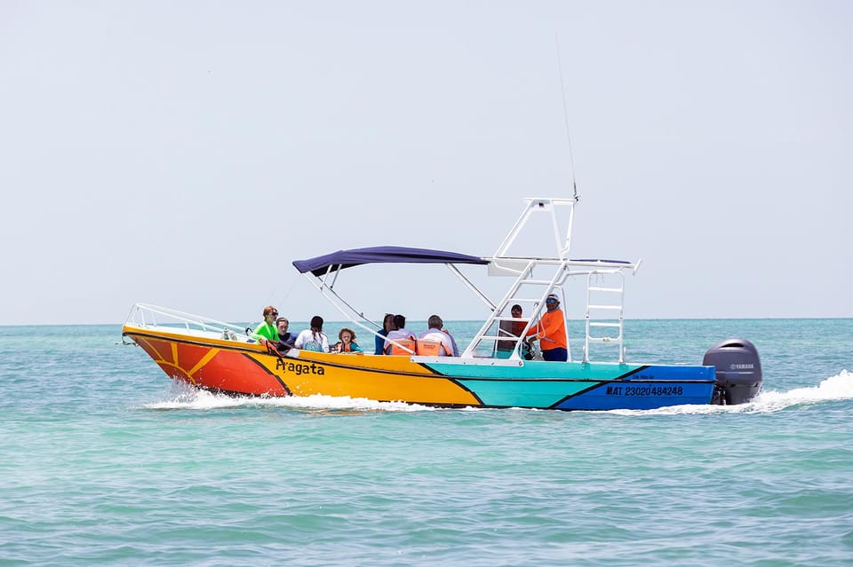 Holbox: Swimming With Wild Whale Sharks Boat Trip - Booking and Cancellation Policy