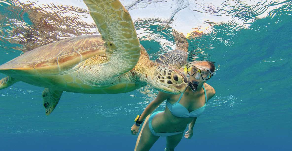 Honolulu: Snorkel With Turtles, Water Scooter, Paddleboard - Frequently Asked Questions