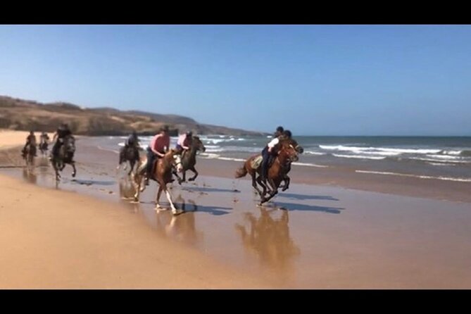 Horse Riding Agadir - Guest Reviews and Ratings