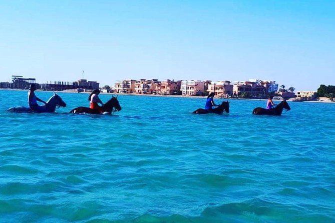 Horse Riding Tour Two Hours Sun & Sea With Transfer - Hurghada - Pickup and Drop-off Details