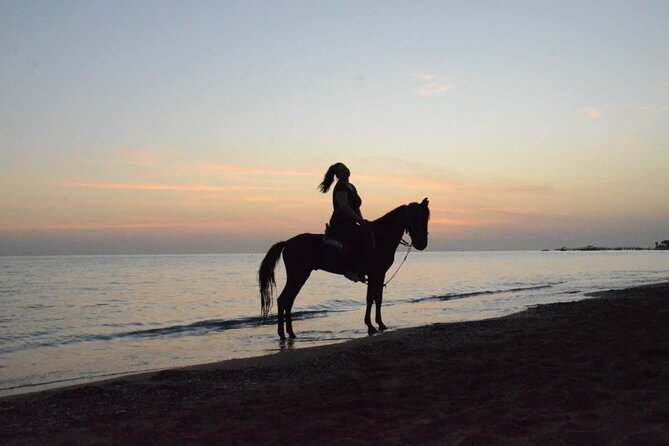 Horseback Riding by Beach or Forest in Manavgat Side - Experienced Tour Guides