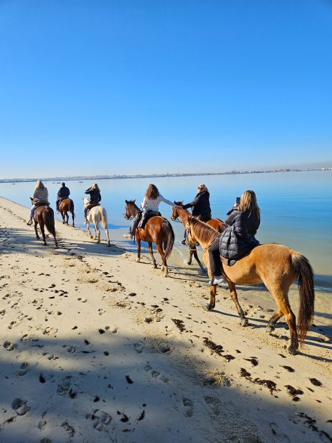 Horseback Riding on the Beach - Preparing for the Ride