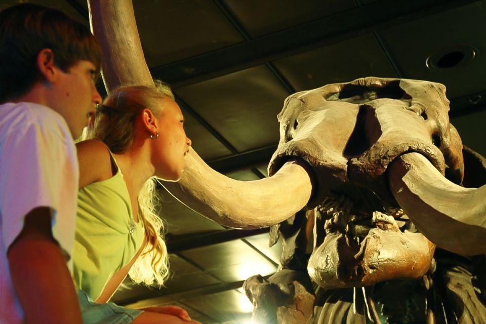 Houston: Museum of Natural Science General Admission Ticket - Strake Hall of Malacology