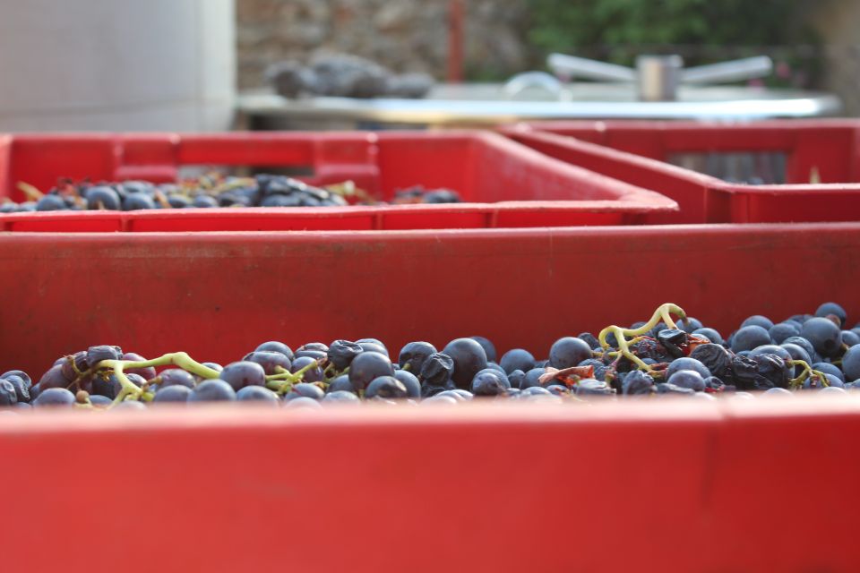 Hvar: Wine Lovers Tour to 3 Wineries With Local Tastings - Transportation and Logistics