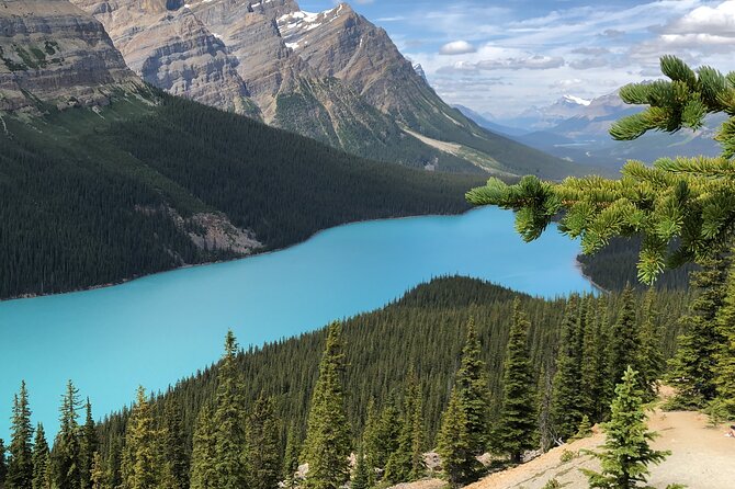 Icefields Pkwy: Lake Louise | Bow Lake | Peyto Lake | Glacier - PRIVATE DAY TOUR - Duration and Itinerary