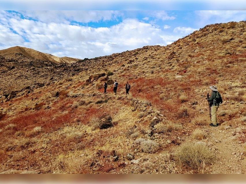 Joshua Tree: Half-Day Private Hike of the National Park - Preparing for the Private Tour