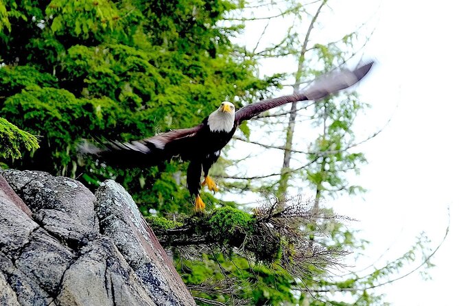 Ketchikan Electric Bike and Rain Forest Hike Ecotour - Customer Reviews