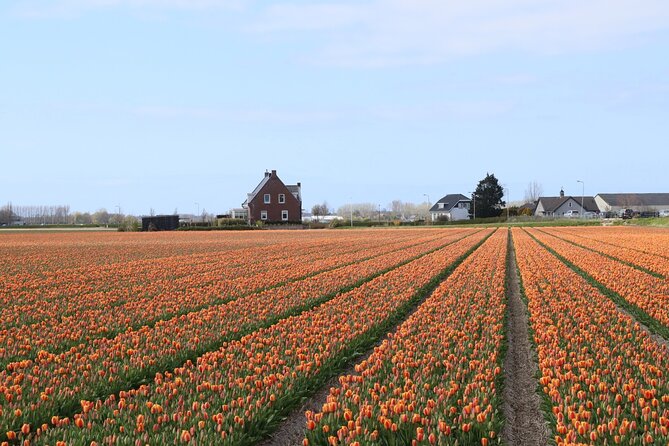 Keukenhof Gardens and Delft Guided Tour From Amsterdam - Cancellation Policy