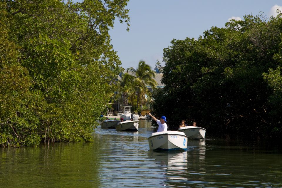 Key West: Eco Safari Sandbar Tour With Snorkeling - Inclusions and Booking Information