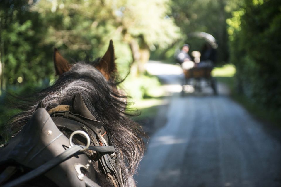 Killarney on Horse & Carriage: 1-Hour Jaunting Car Tour - Frequently Asked Questions