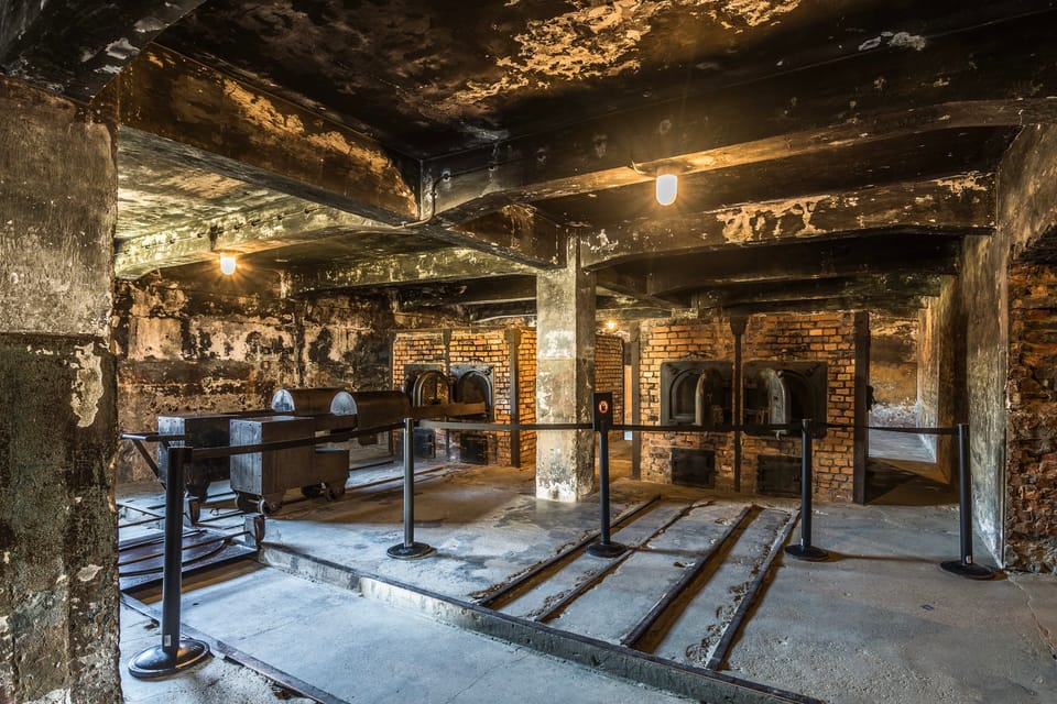 Krakow: Auschwitz-Birkenau Extended Guided Tour & Options - Lunchbox and Food Options