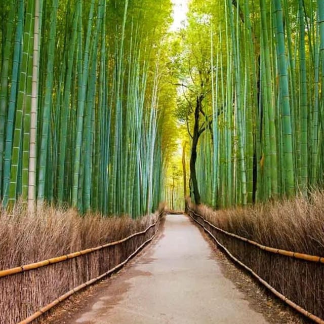 Kyoto/Osaka: Sanzen-in and Arashiyama Day Trip - Booking and Cancellation