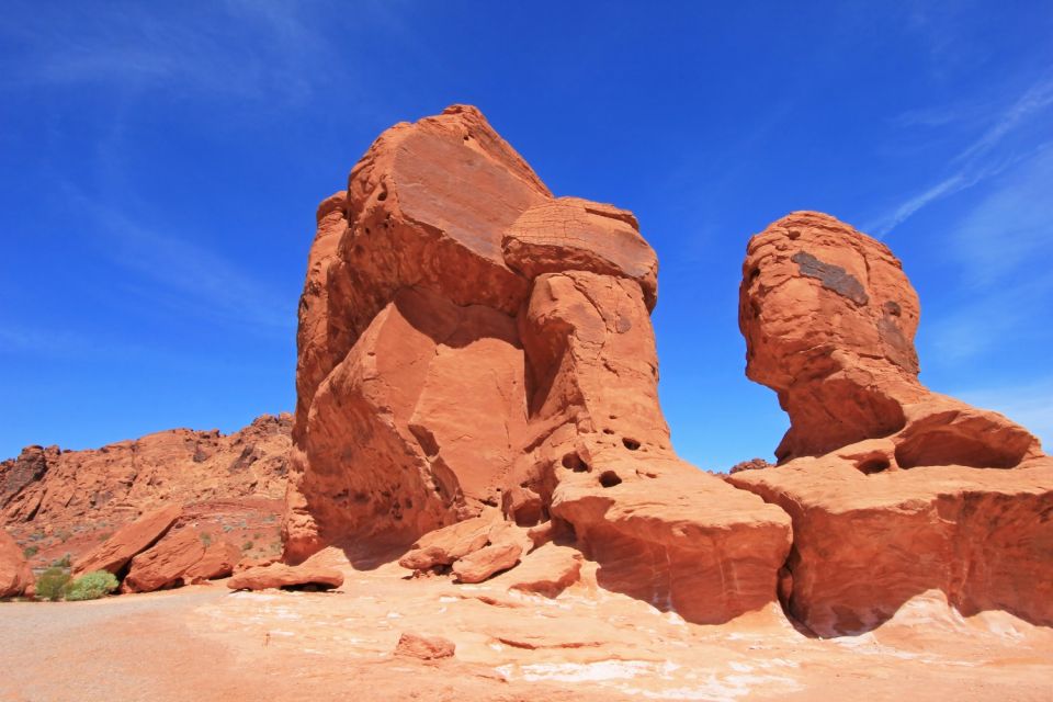 Lake Mead & Valley of Fire State Park Self-Guided Audio Tour - Encountering Wildlife Diversity