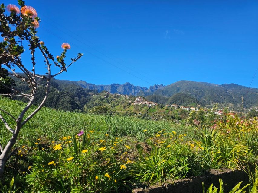 Levada Do Castelejo- Guided Tour by Overland Madeira - Small Group Dynamics