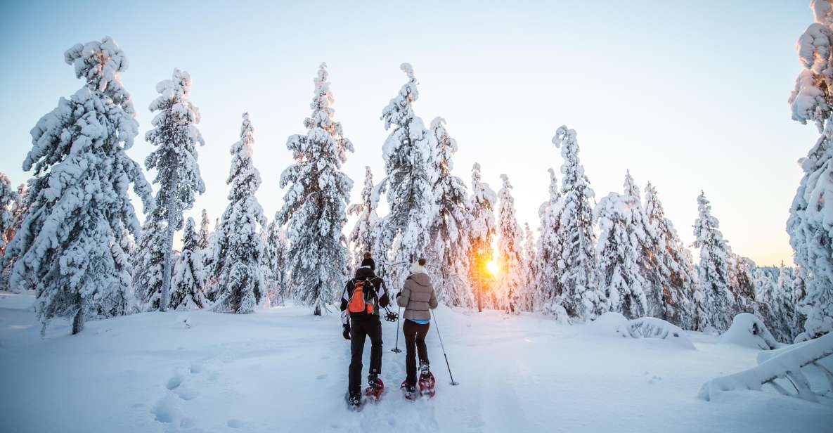 Levi: Snowshoe Adventure in the Wilderness - Booking and Pricing Information