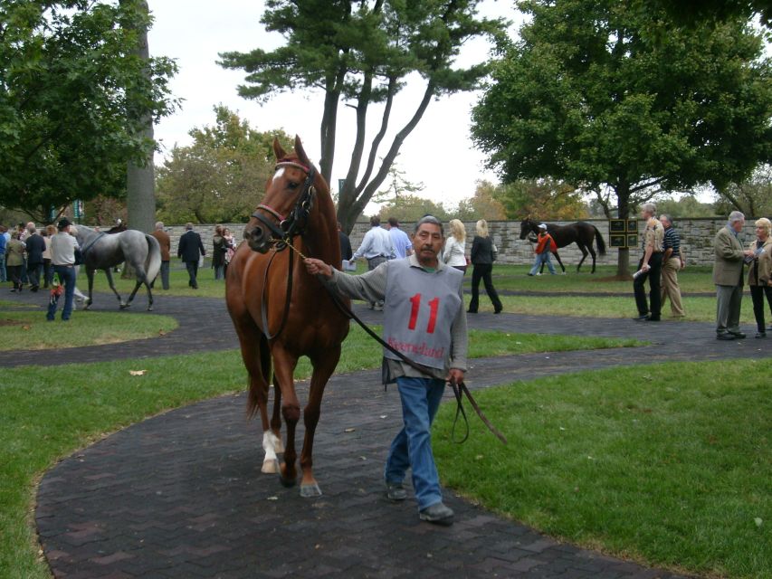 Lexington: Thoroughbred Horse Farm Tour and Keeneland Visit - Customer Feedback