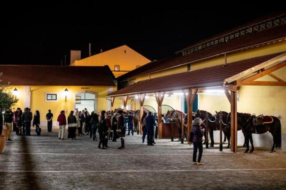 Lisbon: Portuguese Riding School Trainig With Lusitano Horse - Additional Tips