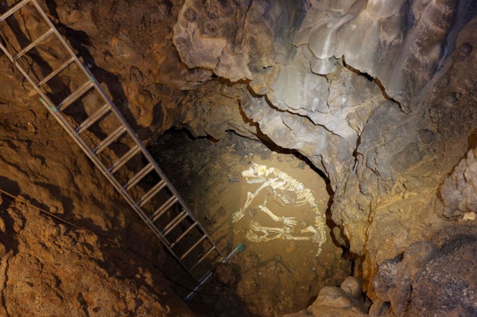 Local Tour at Plitvice - Barac Caves Discovery