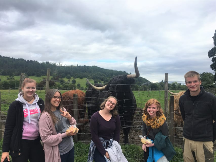 Loch Lomond National Park Tour With 2 Walks - From Glasgow - Scenic Walks in the Park