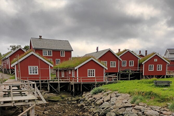 Lofoten PRIVATE Tour From Leknes - Small Group (1-4 Pax) - Local Snacks and Lunch