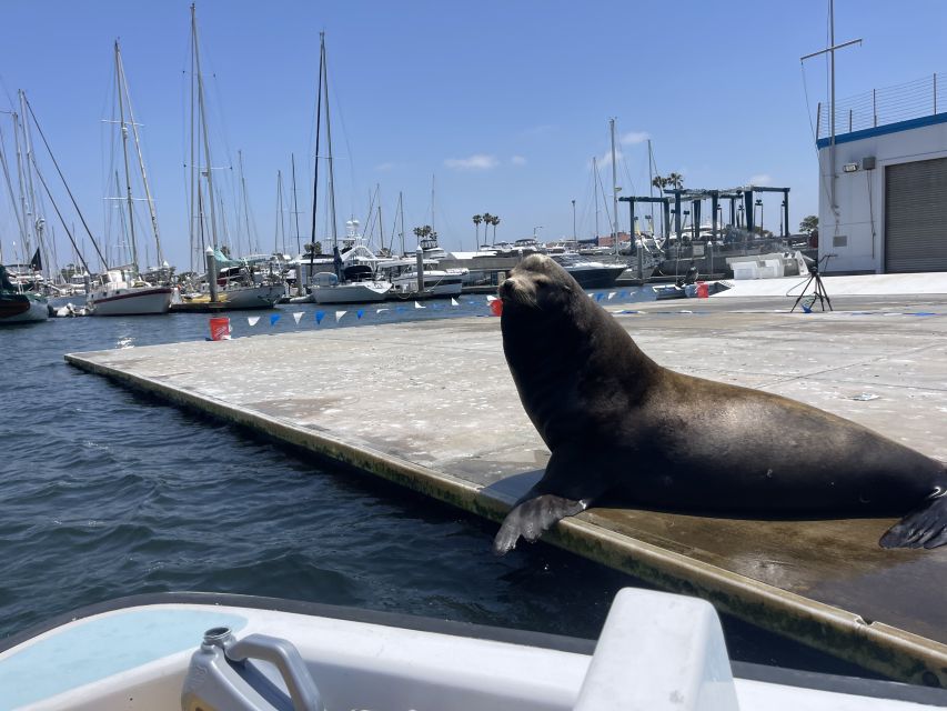 Los Angeles: Marina Del Rey BYOB Cruise - Frequently Asked Questions