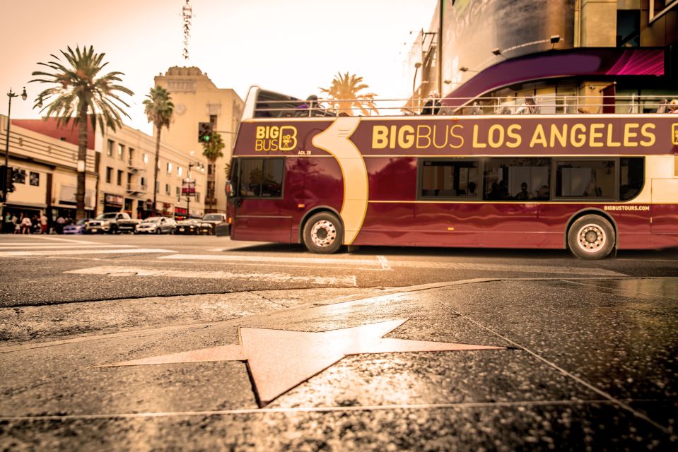 Los Angeles: TMZ Celebrity Tour & 1-Day Hop-on Hop-off Tour - Booking and Cancellation Policies