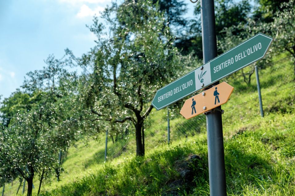 Lugano: Guided Walking Tour to Gandria With Boat Cruise - Important Information