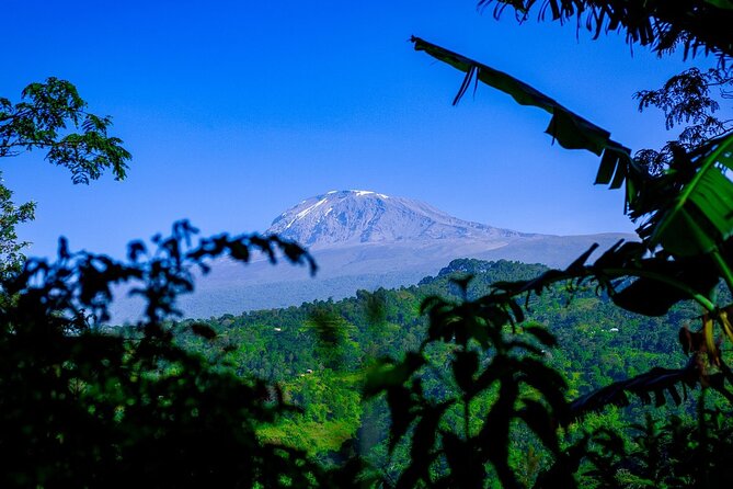 Maasai Village Visit, Materuni Waterfalls & Coffee Experience - Cancellation and Refund Policy