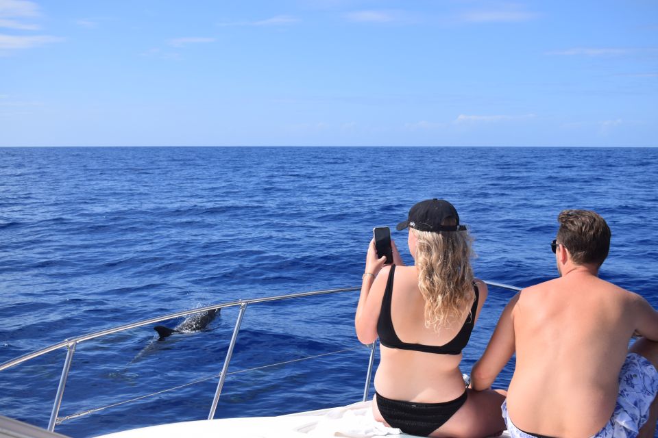 Madeira: 2.5-Hour Whale and Dolphin-Watching Cruise - Exclusions and Limitations