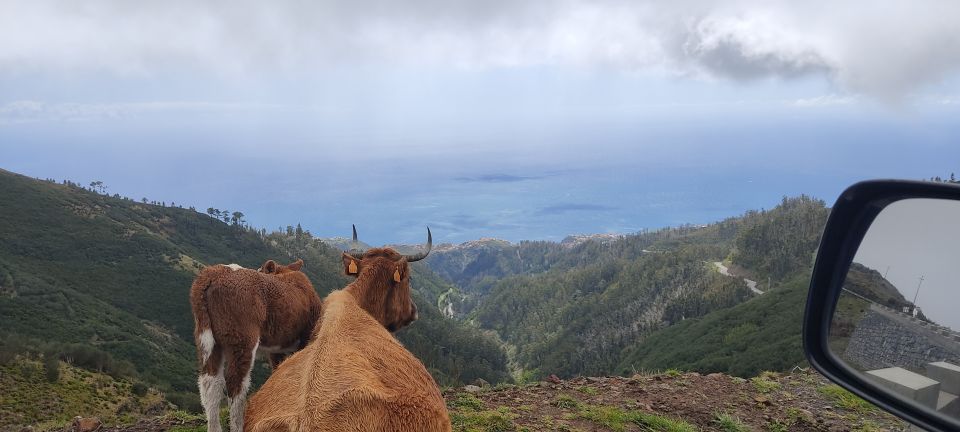 Madeira: 25 Fontes and Risco Levada Hike With Transfers - Casa Do Rabacal Café