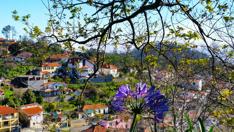 Madeira: Paradise Valley Levada Walk - Cultivated Terraces and Flora