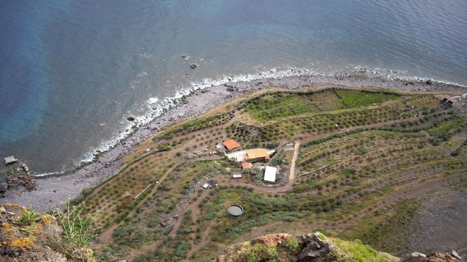 Madeira: Private Half-Day Wine Tasting Tour - Frequently Asked Questions