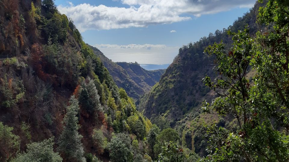 Madeira: Private Moinhos Levada Nova Walk Ponta Do Sol[ENGLISH TRANSLATION]:Madeira: Private Moinhos Levada Nova Walk Ponta Do Sol - Important Considerations