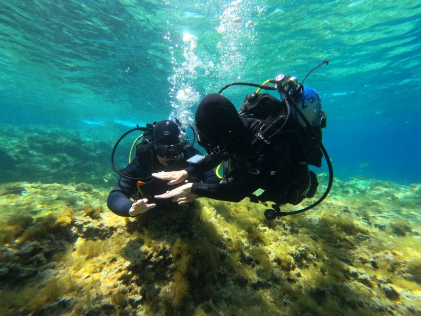 Malta: St. Pauls Bay 1 Day Scuba Diving Course - Booking and Cancellation Policy