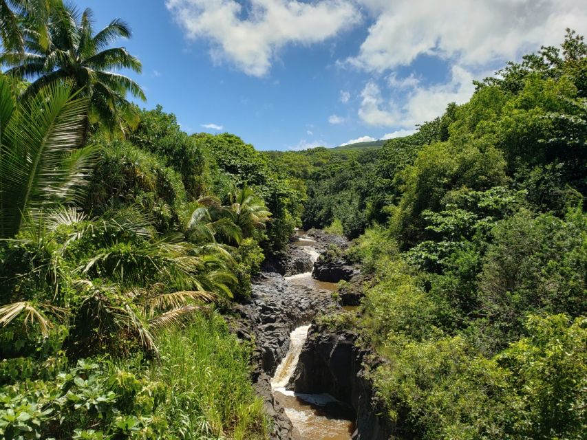 Maui: Road to Hana Adventure With Breakfast & Lunch - Lunch Sandwich