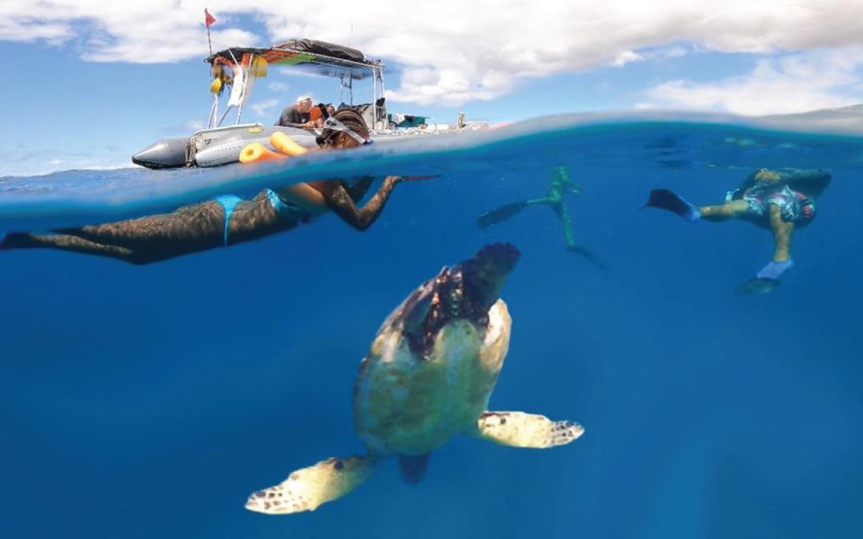 Maui: Semi-Private 2.5 Hour Eco-Raft Turtle Snorkel Tour - Additional Information