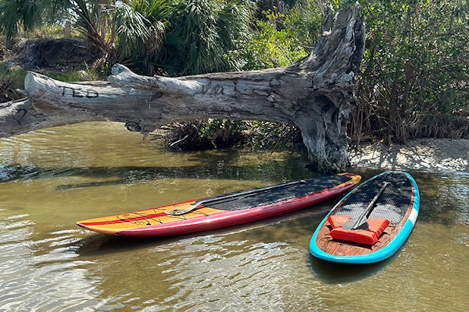 Merritt Island: Manatee Watching Paddle or Kayak Tour - Inclusions and Important Information