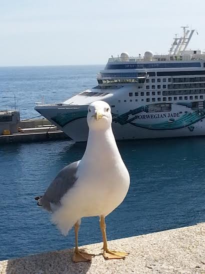 Monaco Day and Night - Lady Luck at the Casino