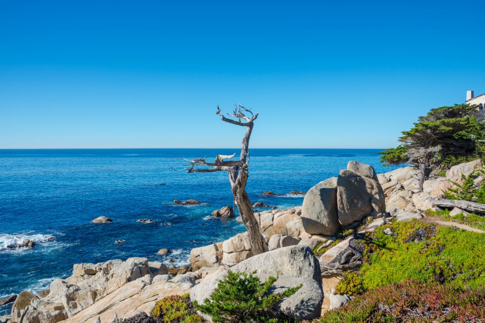 Monterey: 17-Mile Drive Self-Guided Audio Tour - Comprehensive Route and Stops