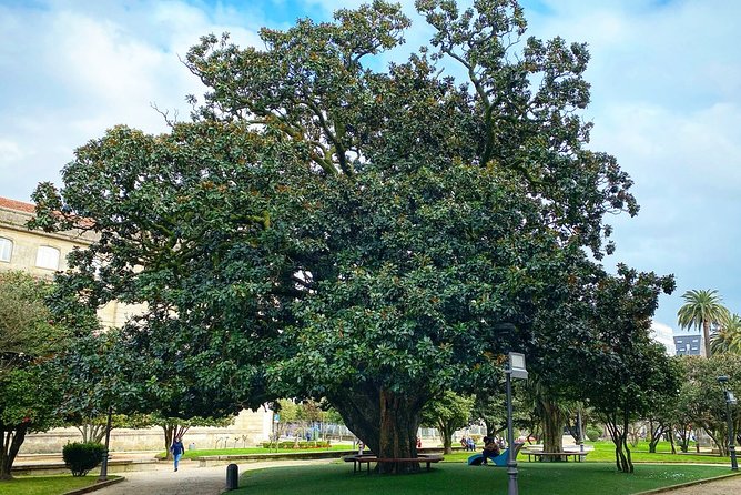 Monumental Morning Walking Tour in Pontevedra - Highlights of the Tour