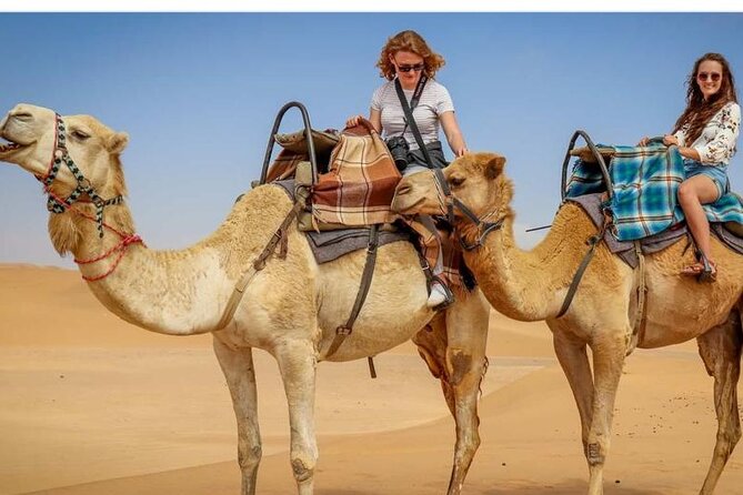 Morning Desert Safari, 25 Minutes ATV With 20 Minutes Camel Ride - ATV Thrill Ride