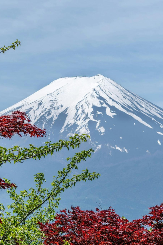 Mount Fuji Full Day Private Tour With English Speaking Guide - Pickup and Drop-off Options