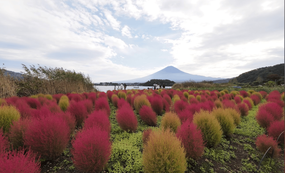 Mount Fuji Full Day Tour With Private Guide With Pick-Up - Frequently Asked Questions