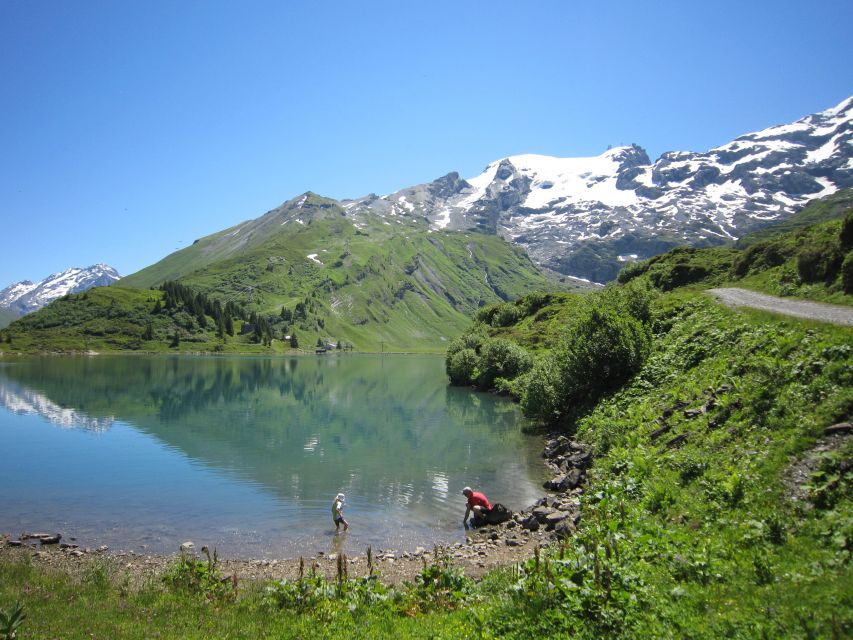 Mount Titlis: Admission Ticket - Organization and Service