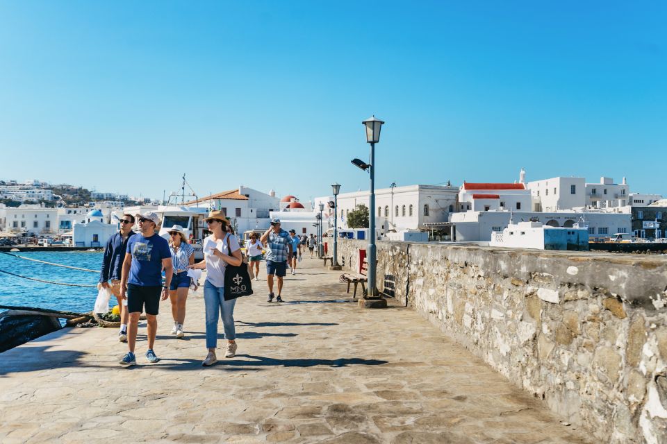 Mykonos Town: Archaeological Site of Delos Guided Day Trip - Booking and Cancellation Policy